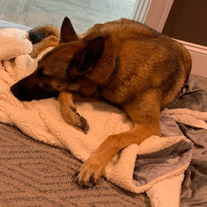 Meet your Posher, Wills